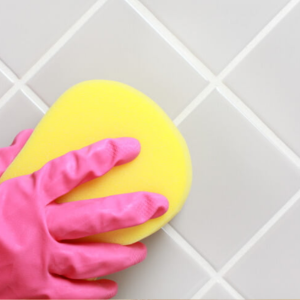 Bathroom cleaners (for tiles, sinks, toilets)